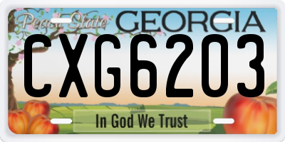 GA license plate CXG6203