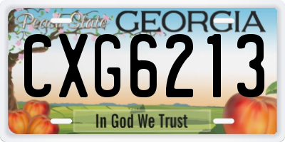 GA license plate CXG6213