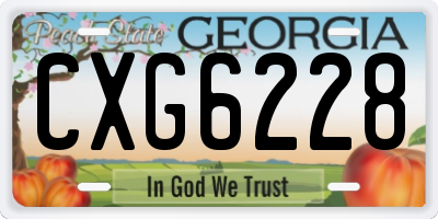 GA license plate CXG6228
