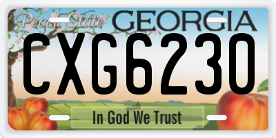 GA license plate CXG6230