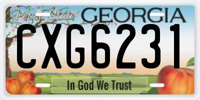 GA license plate CXG6231