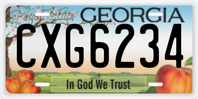 GA license plate CXG6234