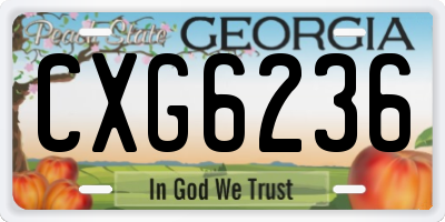 GA license plate CXG6236