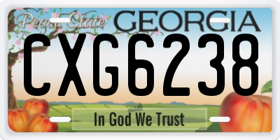GA license plate CXG6238