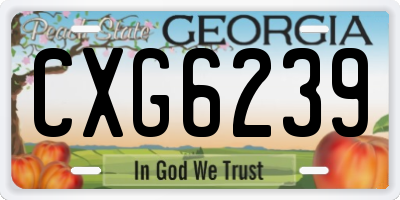 GA license plate CXG6239