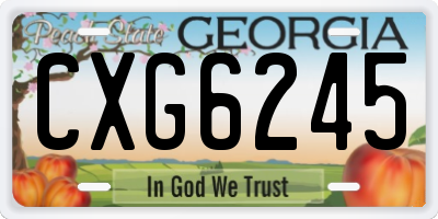 GA license plate CXG6245