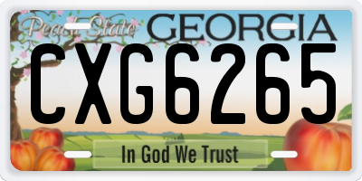 GA license plate CXG6265