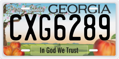 GA license plate CXG6289