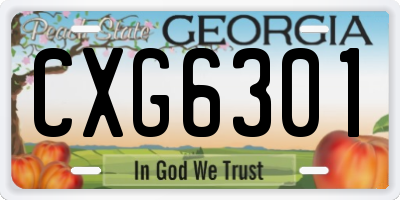 GA license plate CXG6301
