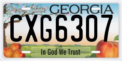 GA license plate CXG6307