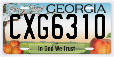 GA license plate CXG6310