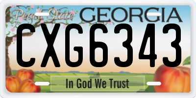 GA license plate CXG6343