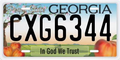 GA license plate CXG6344