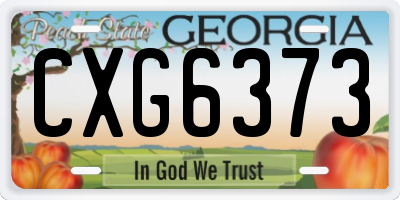 GA license plate CXG6373
