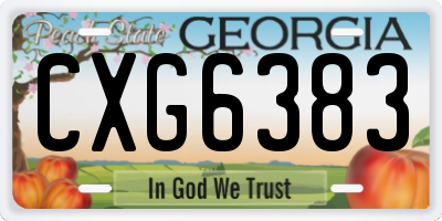 GA license plate CXG6383