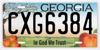 GA license plate CXG6384