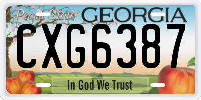GA license plate CXG6387