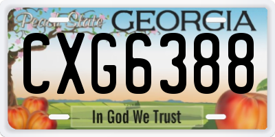GA license plate CXG6388