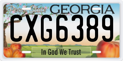 GA license plate CXG6389