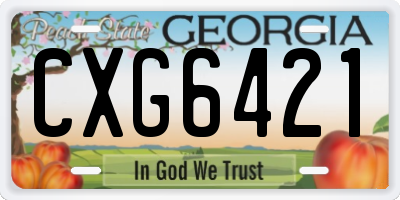 GA license plate CXG6421