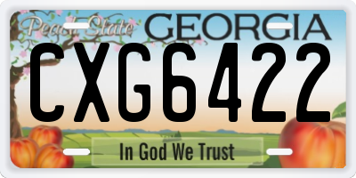 GA license plate CXG6422