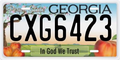 GA license plate CXG6423