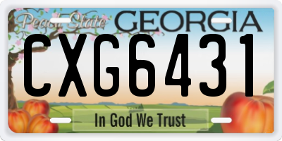 GA license plate CXG6431