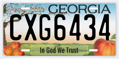 GA license plate CXG6434