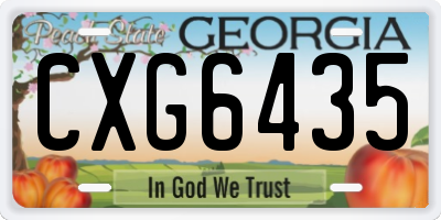 GA license plate CXG6435