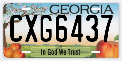 GA license plate CXG6437