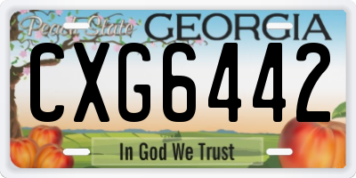 GA license plate CXG6442