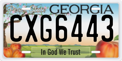 GA license plate CXG6443
