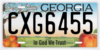 GA license plate CXG6455