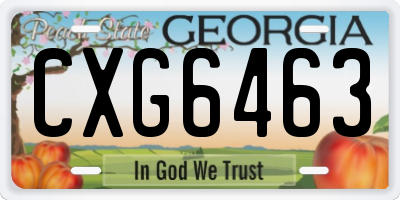 GA license plate CXG6463