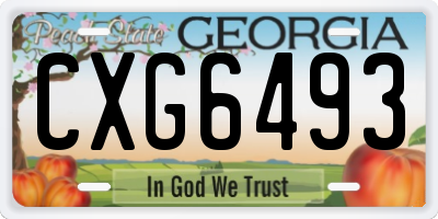 GA license plate CXG6493