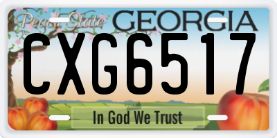 GA license plate CXG6517
