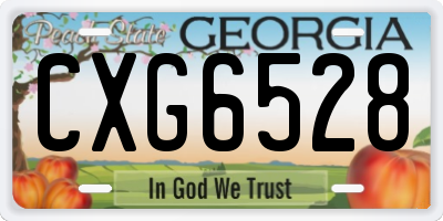 GA license plate CXG6528