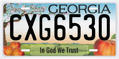 GA license plate CXG6530