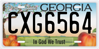GA license plate CXG6564