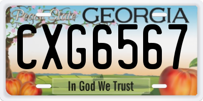 GA license plate CXG6567
