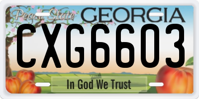 GA license plate CXG6603