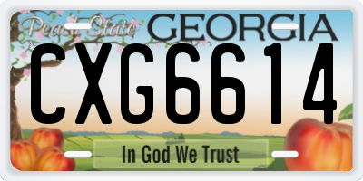 GA license plate CXG6614