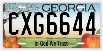 GA license plate CXG6644