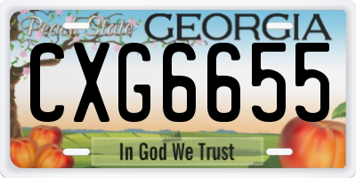GA license plate CXG6655