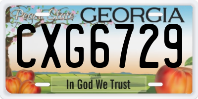 GA license plate CXG6729
