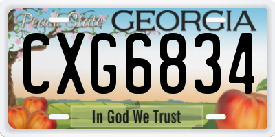 GA license plate CXG6834