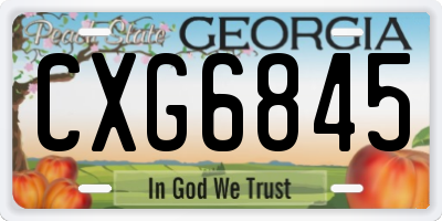 GA license plate CXG6845