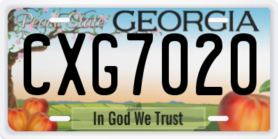 GA license plate CXG7020