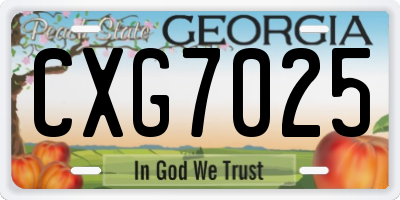 GA license plate CXG7025