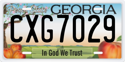 GA license plate CXG7029
